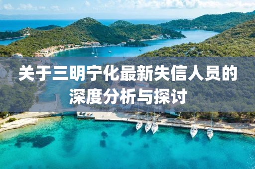 關(guān)于三明寧化最新失信人員的深度分析與探討