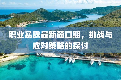 職業(yè)暴露最新窗口期，挑戰(zhàn)與應(yīng)對策略的探討