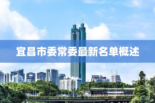 宜昌市委常委最新名單概述