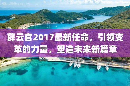薛云官2017最新任命，引領(lǐng)變革的力量，塑造未來新篇章