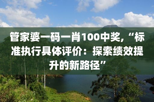 管家婆一碼一肖100中獎,“標準執(zhí)行具體評價：探索績效提升的新路徑”