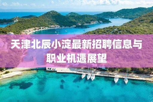 天津北辰小淀最新招聘信息與職業(yè)機(jī)遇展望