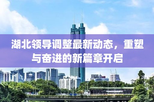 湖北領(lǐng)導(dǎo)調(diào)整最新動態(tài)，重塑與奮進(jìn)的新篇章開啟