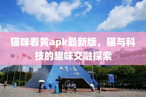 貓咪看黃apk最新版，貓與科技的趣味交融探索