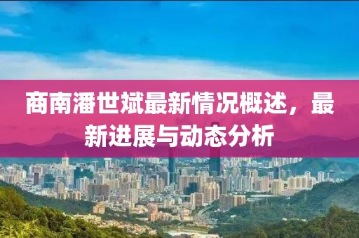 商南潘世斌最新情況概述，最新進展與動態(tài)分析
