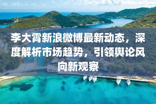 李大霄新浪微博最新動(dòng)態(tài)，深度解析市場趨勢，引領(lǐng)輿論風(fēng)向新觀察