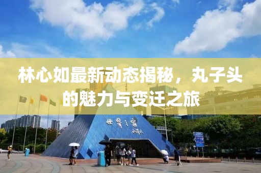 林心如最新動態(tài)揭秘，丸子頭的魅力與變遷之旅