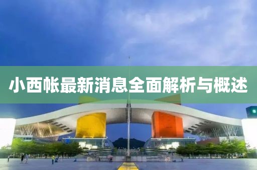 小西帳最新消息全面解析與概述