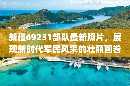 新疆69231部隊(duì)最新照片，展現(xiàn)新時(shí)代軍民風(fēng)采的壯麗畫(huà)卷