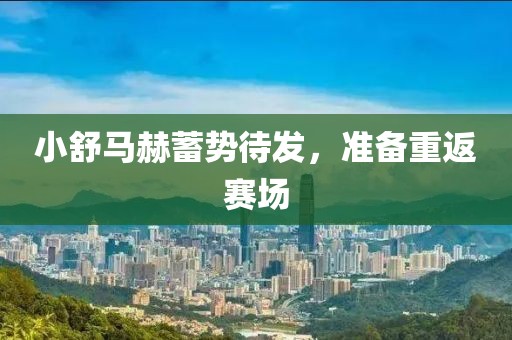 小舒馬赫蓄勢待發(fā)，準(zhǔn)備重返賽場