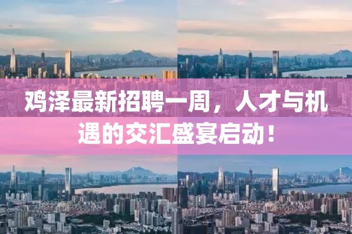 雞澤最新招聘一周，人才與機遇的交匯盛宴啟動！