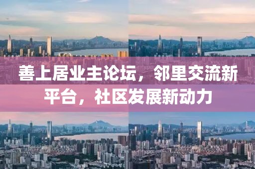 善上居業(yè)主論壇，鄰里交流新平臺，社區(qū)發(fā)展新動力