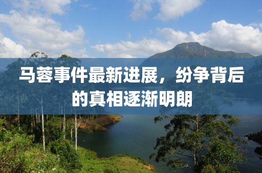 馬蓉事件最新進(jìn)展，紛爭(zhēng)背后的真相逐漸明朗