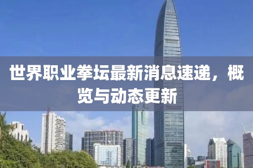 世界職業(yè)拳壇最新消息速遞，概覽與動態(tài)更新