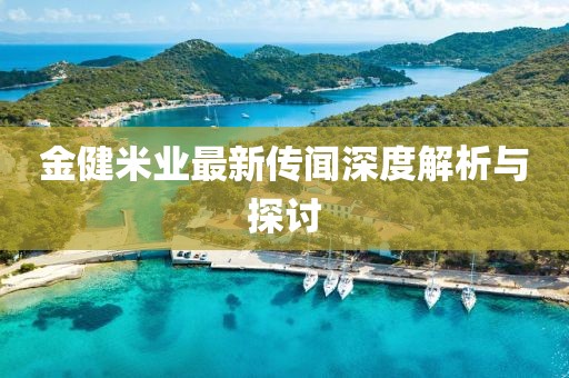 金健米業(yè)最新傳聞深度解析與探討
