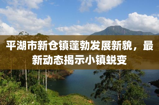平湖市新倉(cāng)鎮(zhèn)蓬勃發(fā)展新貌，最新動(dòng)態(tài)揭示小鎮(zhèn)蛻變