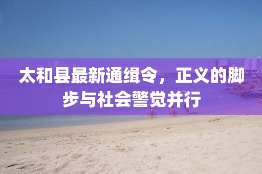 太和縣最新通緝令，正義的腳步與社會警覺并行