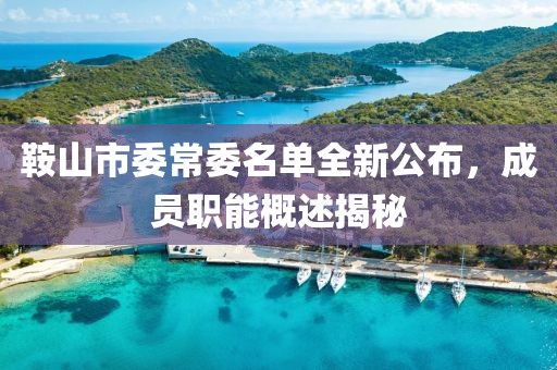 鞍山市委常委名單全新公布，成員職能概述揭秘