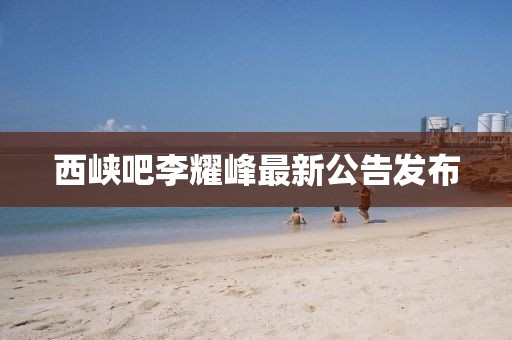西峽吧李耀峰最新公告發(fā)布