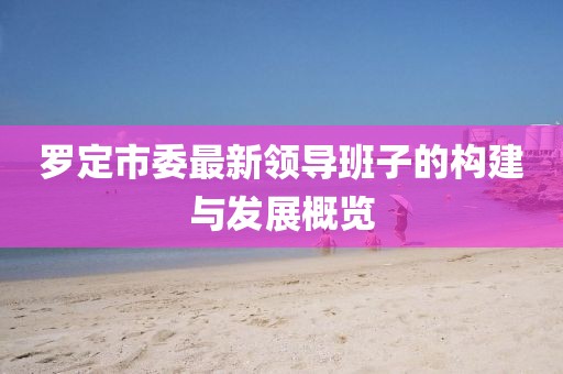 羅定市委最新領(lǐng)導(dǎo)班子的構(gòu)建與發(fā)展概覽