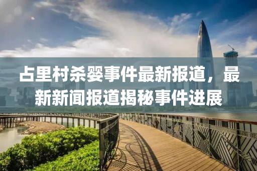 占里村殺嬰事件最新報(bào)道，最新新聞報(bào)道揭秘事件進(jìn)展
