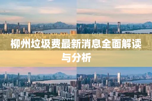 柳州垃圾費最新消息全面解讀與分析
