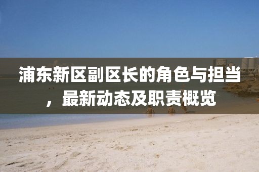 浦東新區(qū)副區(qū)長的角色與擔當，最新動態(tài)及職責(zé)概覽