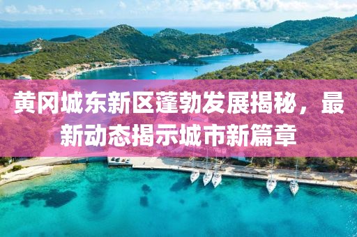 黃岡城東新區(qū)蓬勃發(fā)展揭秘，最新動(dòng)態(tài)揭示城市新篇章