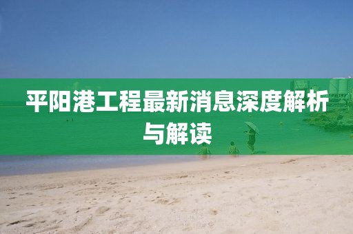 平陽(yáng)港工程最新消息深度解析與解讀