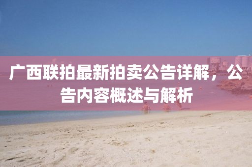 廣西聯(lián)拍最新拍賣公告詳解，公告內(nèi)容概述與解析
