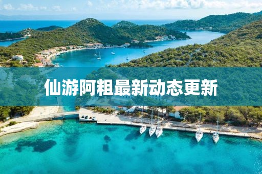 仙游阿粗最新動(dòng)態(tài)更新