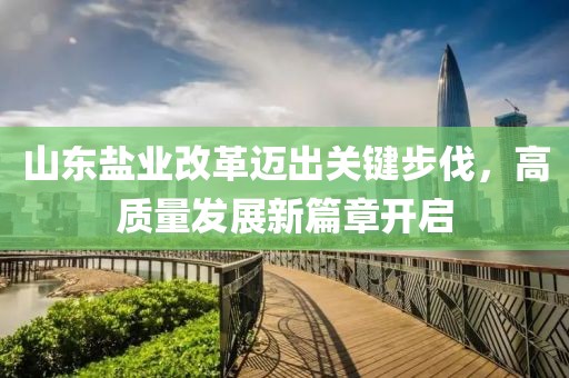 山東鹽業(yè)改革邁出關(guān)鍵步伐，高質(zhì)量發(fā)展新篇章開啟