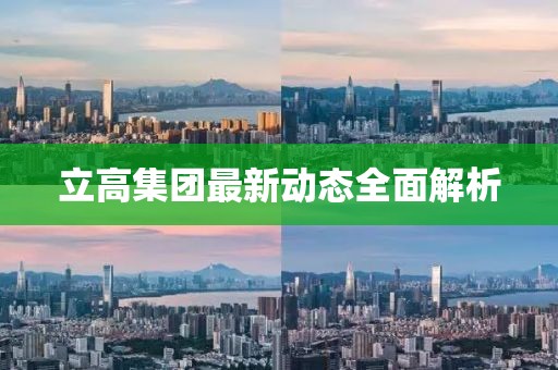 立高集團(tuán)最新動(dòng)態(tài)全面解析