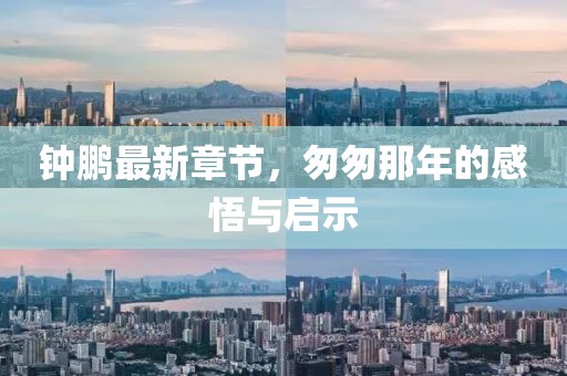 鐘鵬最新章節(jié)，匆匆那年的感悟與啟示