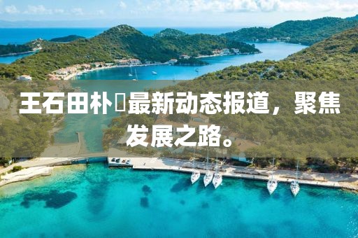 王石田樸琤最新動(dòng)態(tài)報(bào)道，聚焦發(fā)展之路。