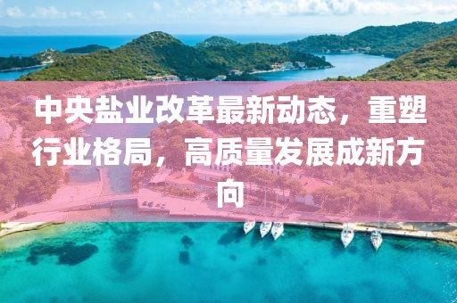 中央鹽業(yè)改革最新動(dòng)態(tài)，重塑行業(yè)格局，高質(zhì)量發(fā)展成新方向