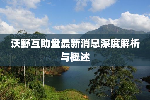 沃野互助盤最新消息深度解析與概述