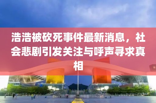 浩浩被砍死事件最新消息，社會悲劇引發(fā)關(guān)注與呼聲尋求真相