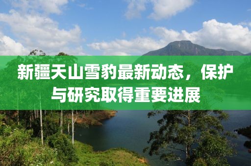 新疆天山雪豹最新動(dòng)態(tài)，保護(hù)與研究取得重要進(jìn)展