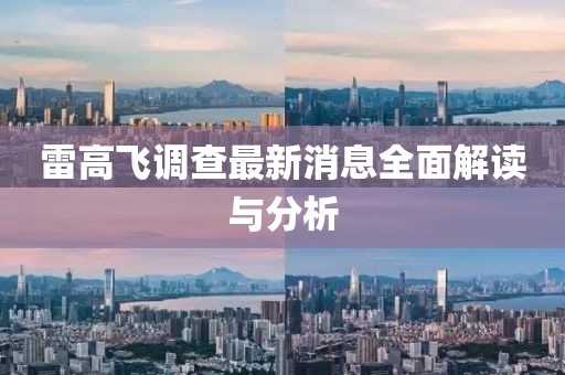 雷高飛調(diào)查最新消息全面解讀與分析