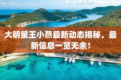 大明星王小燕最新動(dòng)態(tài)揭秘，最新信息一覽無(wú)余！