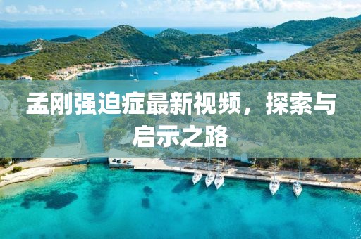 孟剛強(qiáng)迫癥最新視頻，探索與啟示之路