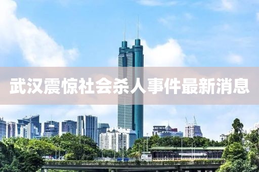 武漢震驚社會殺人事件最新消息
