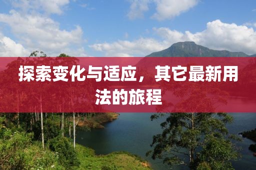 探索變化與適應(yīng)，其它最新用法的旅程