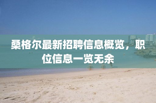 桑格爾最新招聘信息概覽，職位信息一覽無余