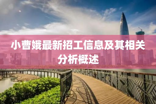 小曹娥最新招工信息及其相關(guān)分析概述