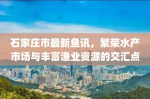 石家莊市最新魚(yú)訊，繁榮水產(chǎn)市場(chǎng)與豐富漁業(yè)資源的交匯點(diǎn)
