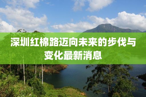 深圳紅棉路邁向未來的步伐與變化最新消息
