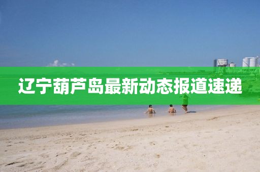遼寧葫蘆島最新動態(tài)報道速遞