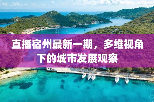 直播宿州最新一期，多維視角下的城市發(fā)展觀察